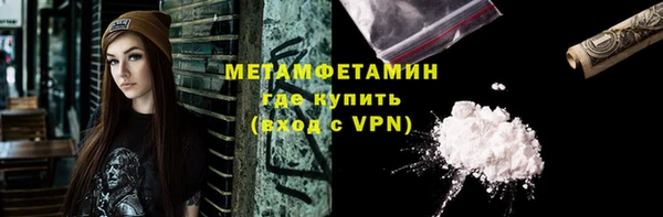 прущие грибы Михайловка