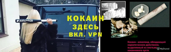 прущая мука Михайлов