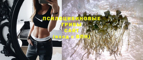 прущие грибы Михайловка