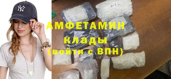 прущие грибы Михайловка