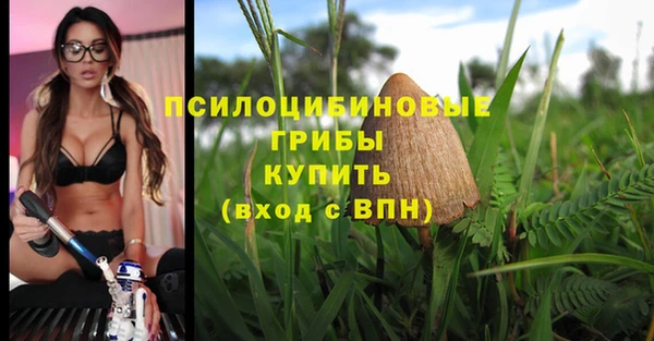 дурь Михайловск