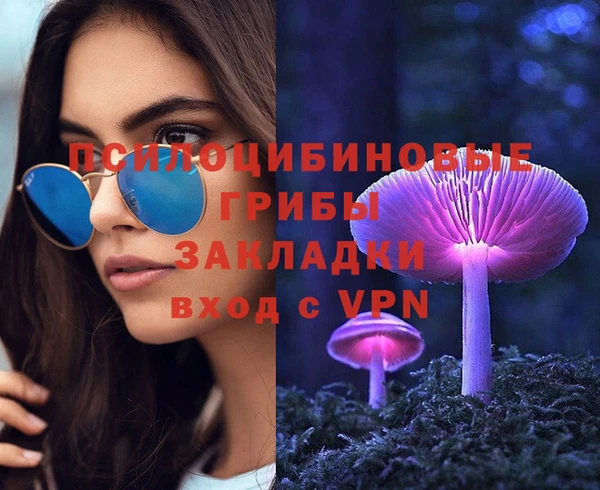 прущие грибы Михайловка