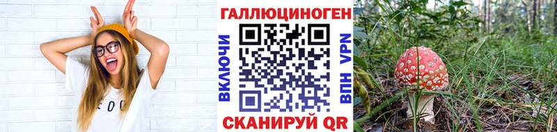 Галлюциногенные грибы Magic Shrooms  как найти   Электроугли 